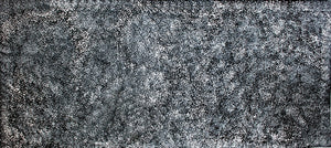 Gracie Morton Pwerle Bush Plum Indigenous Art