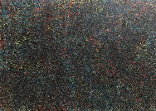 Gracie Morton Pwerle Bush Plum Indigenous Art