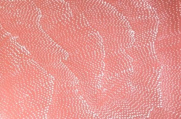 Lily Kelly Napangardi Sandhills Dreaming Indigenous Art Aboriginal Art