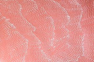 Lily Kelly Napangardi Sandhills Dreaming Indigenous Art Aboriginal Art