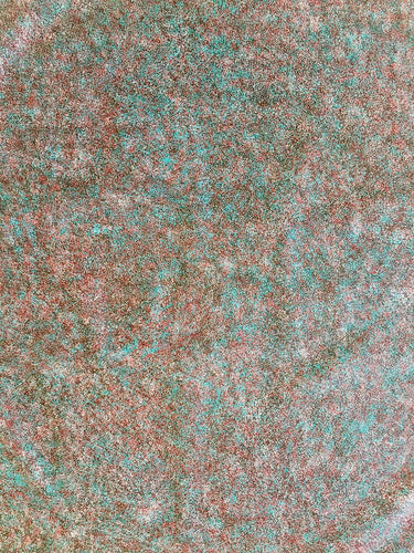 Gracie Morton Pwerle Bush Plum Indigenous Art