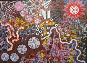 Michelle Possum Nungurrayi Australian Indigenous Art Aboriginal Art