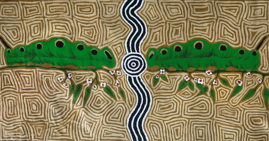 Aboriginal Art Australian Indigenous Art