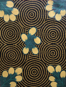 Aboriginal Art Australian Indigenous Art